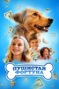 Пушистое состояние 2023