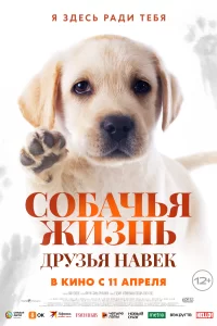 Собачья жизнь: Друзья навек 2023