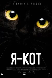 Я — кот 2023