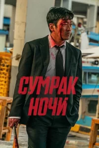 Сумрак ночи 2025
